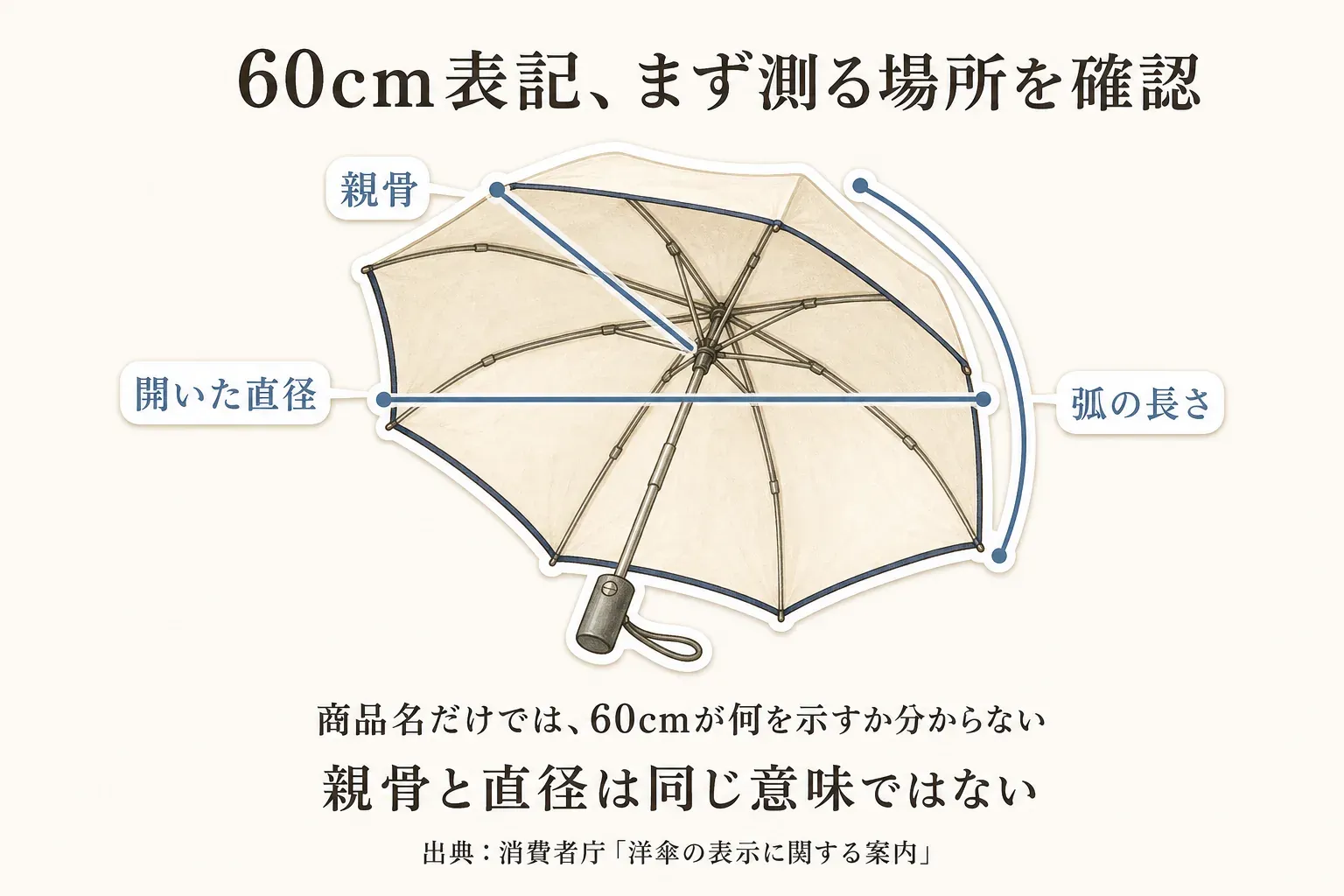 折りたたみ日傘の親骨、開いた直径、弧の長さを開いた傘の図で示し、商品名だけでは60cmがどの寸法を表すか分からないことと、親骨と直径は同じ意味ではないことを説明した図。出典：消費者庁「洋傘の表示に関する案内」